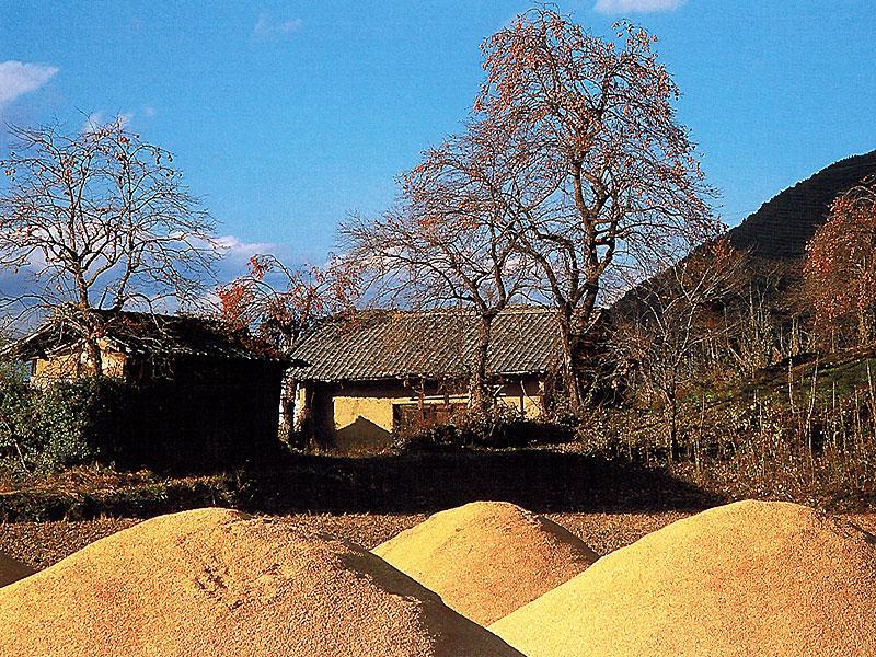 Misato Otel Azumino Dış mekan fotoğraf